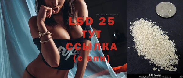 ешки Бородино