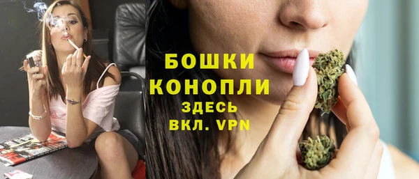 МДПВ Бронницы