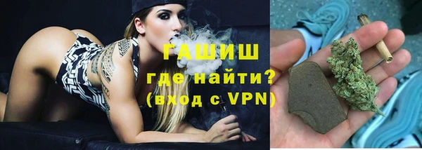 ешки Бородино