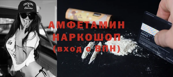 ешки Бородино