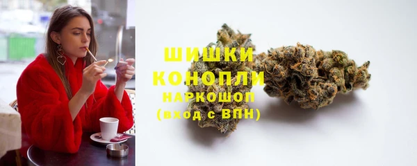 ешки Бородино