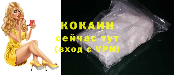 ешки Бородино