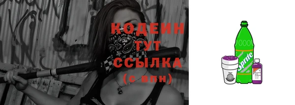 ешки Бородино