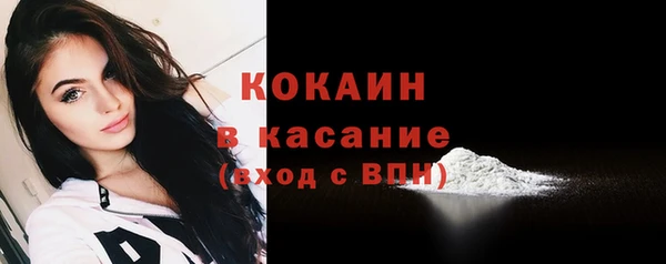ешки Бородино