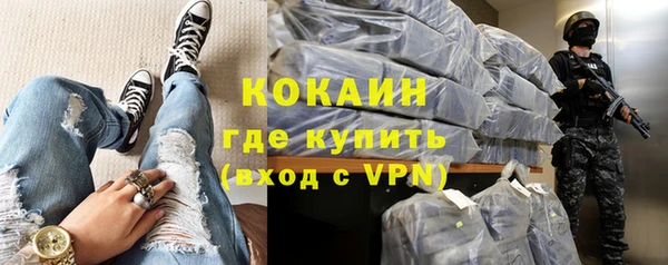 ешки Бородино